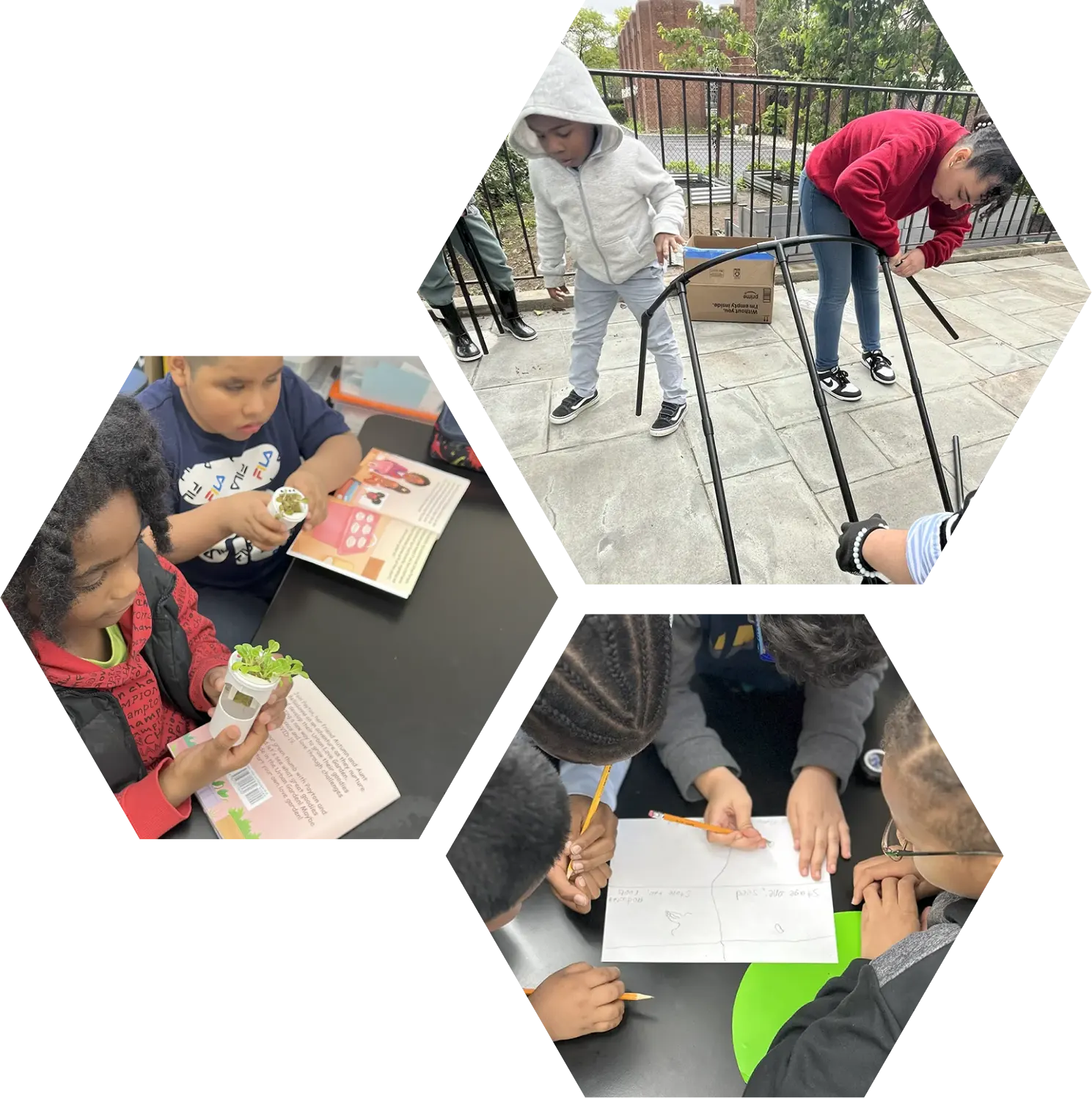 Volunteers supporting a STEAM and emotional wellness initiative