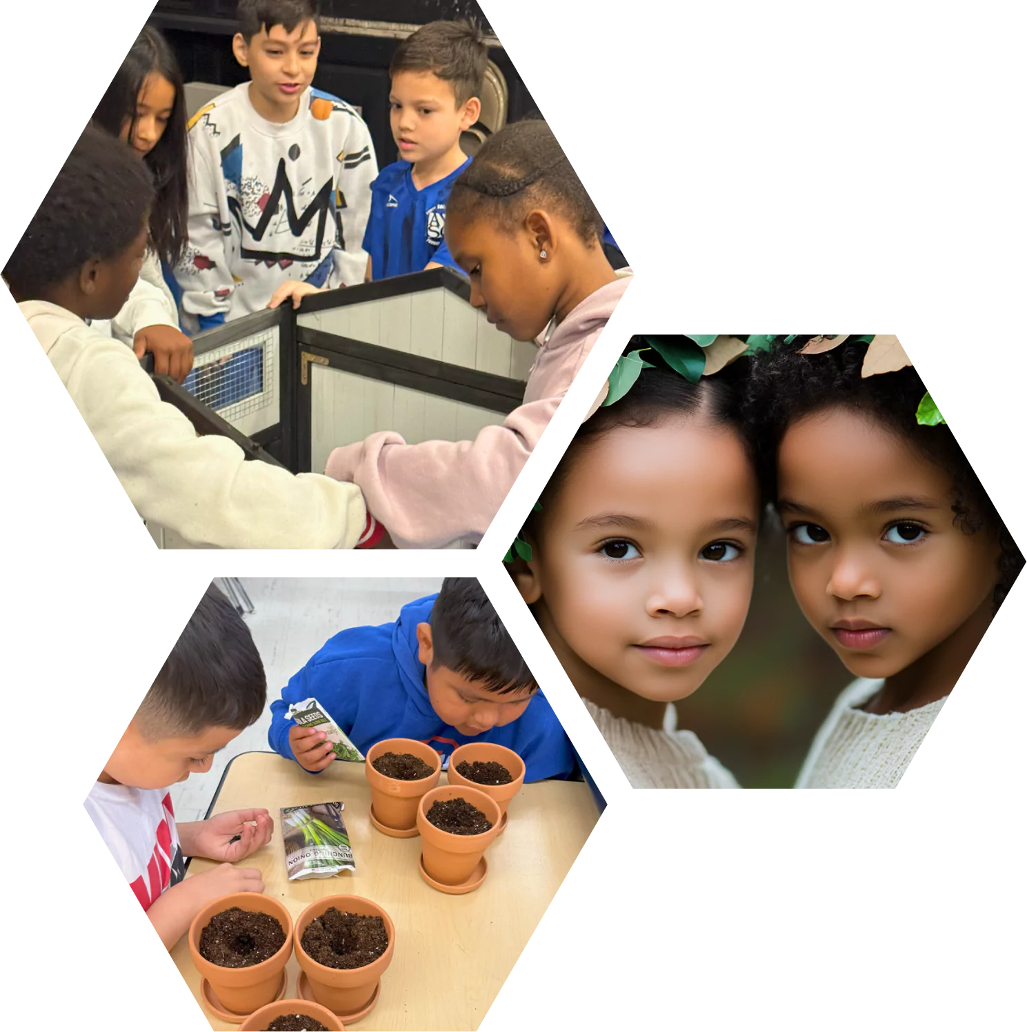 NYC school partnership delivering wellness and STEAM education